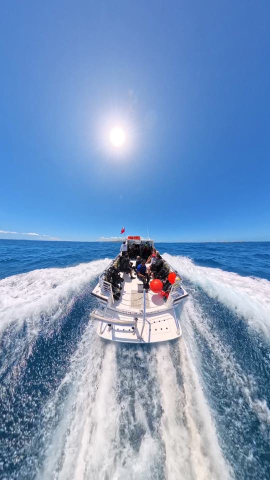 The PR Dive boat running across open water, leaving a white wake