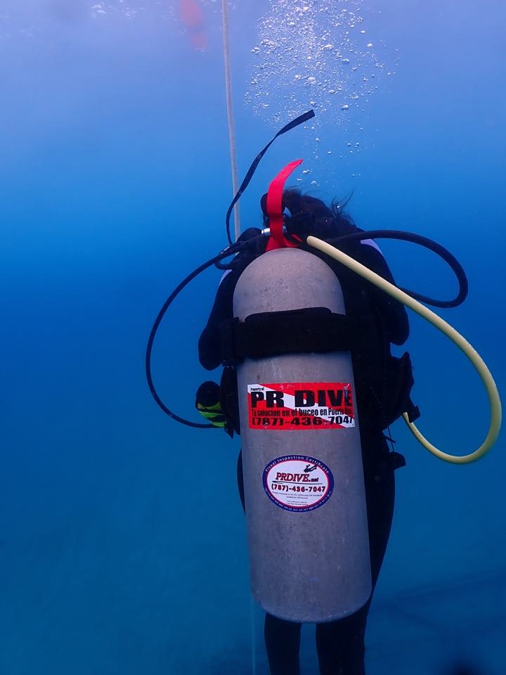 A diver seen from behind, with a PR Dive sticker on the tank