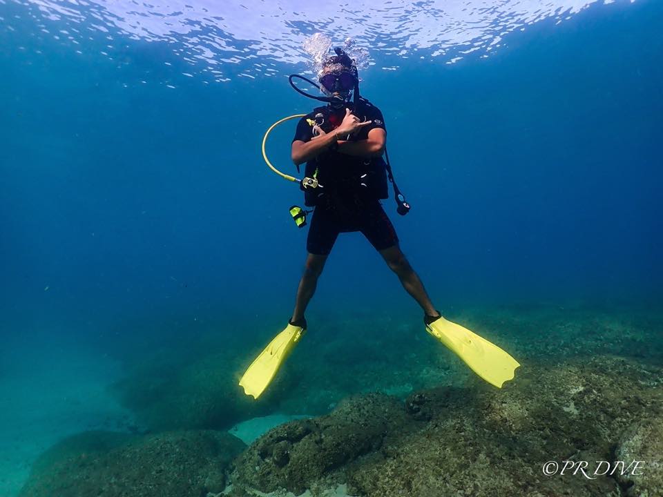 A diver hovering with arms crossed and yellow fins spread