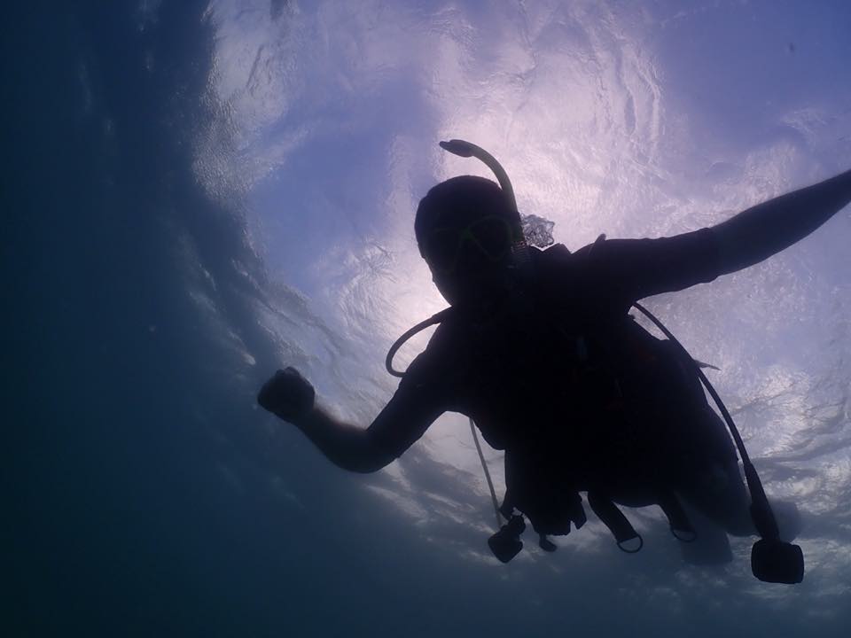 A diver silhouetted against the sun near the surface