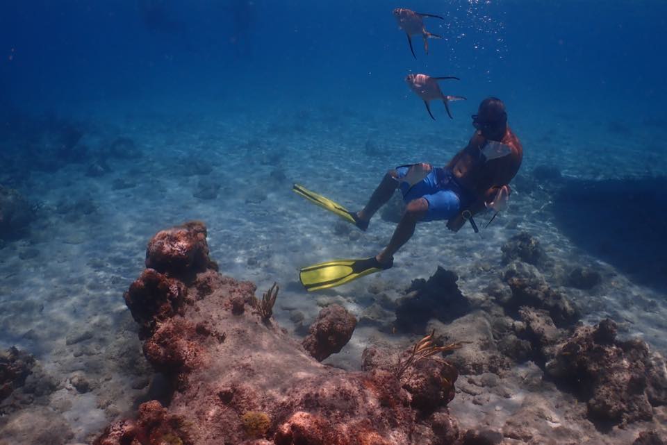 Two dive buddies swimming together over the reef