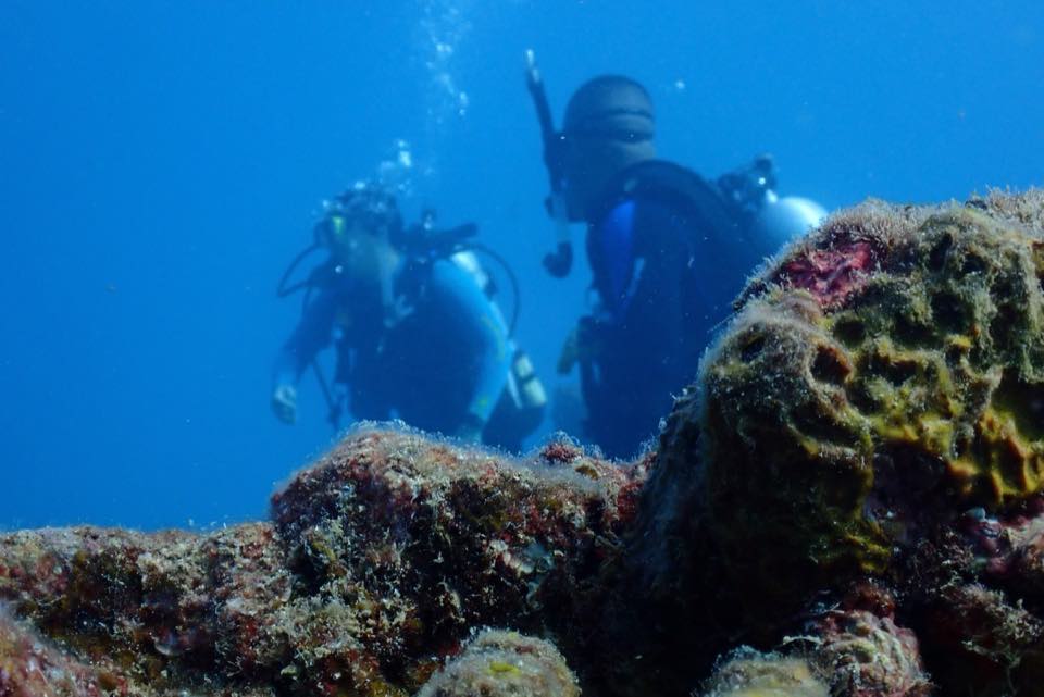 Two divers swimming together over the reef