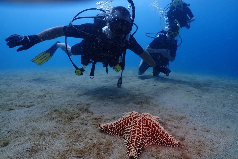 Dos buzos sobre la arena con una estrella de mar cojín roja al frente
