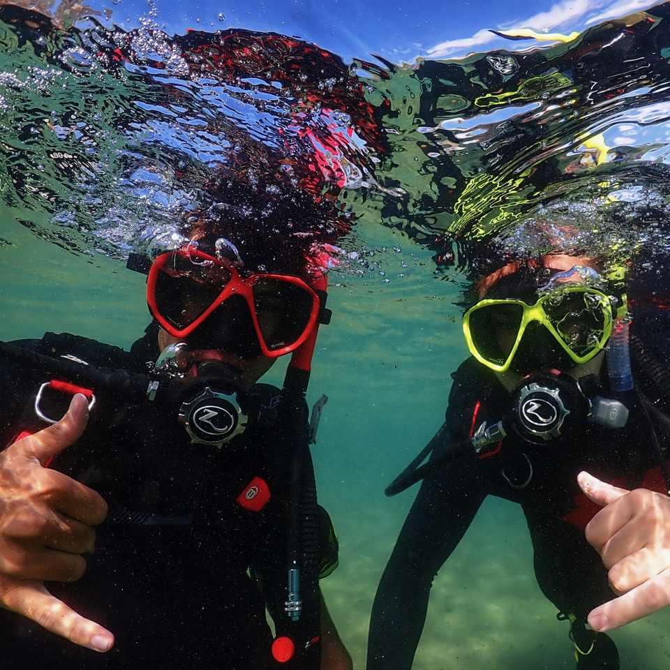 Two divers giving the shaka just under the surface