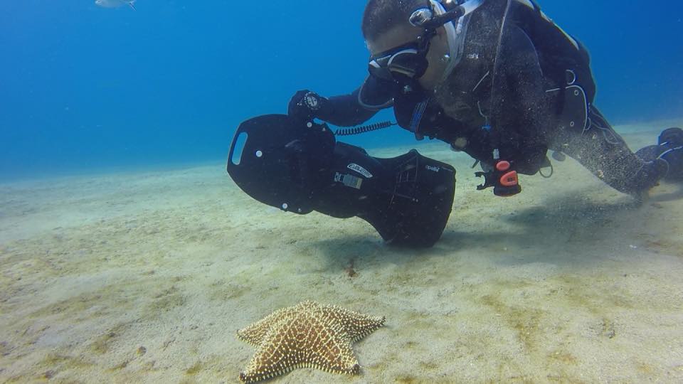 A diver on an underwater scooter passing a cushion sea star