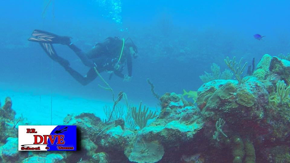 Divers over a coral reef