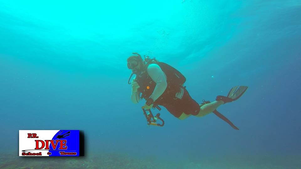 A diver swimming in blue water
