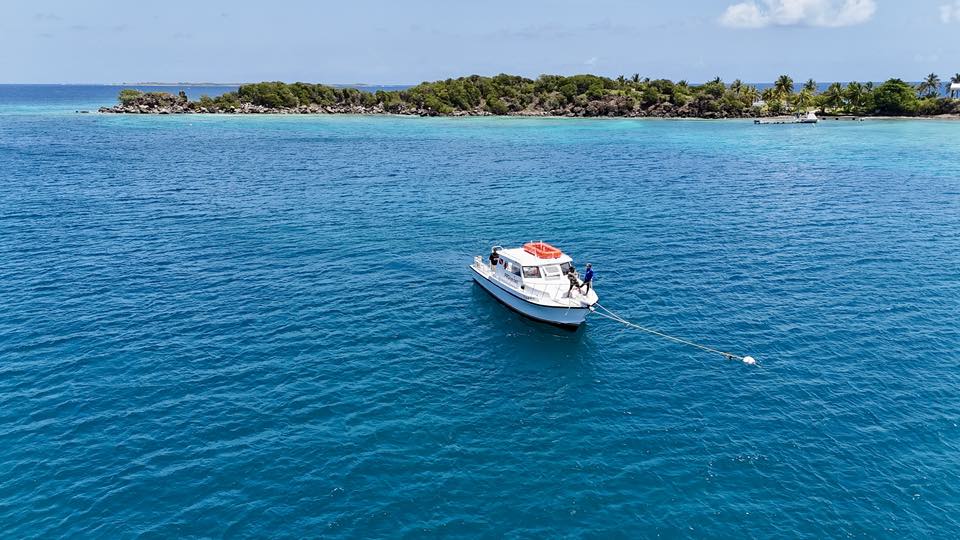 Four Points in clear water off an island