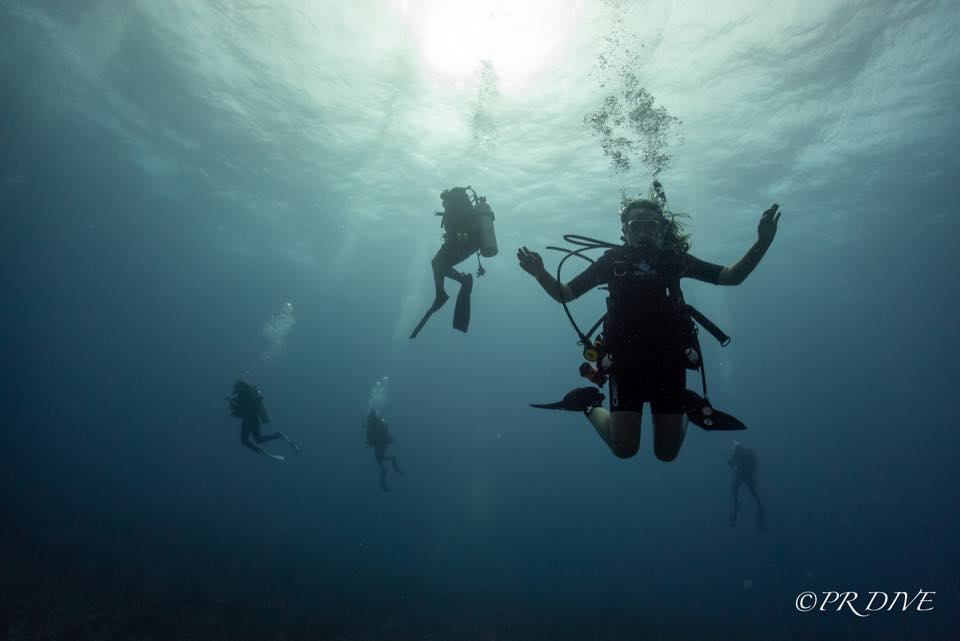 Divers descending in shafts of sunlight