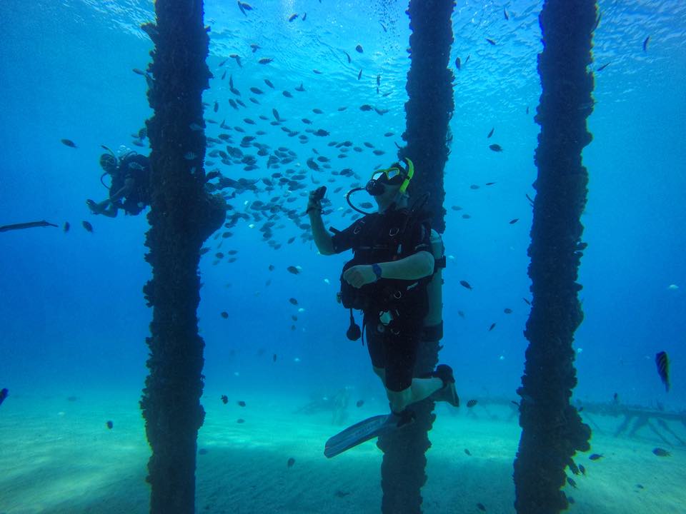 Un buzo entre pilotes de muelle con un cardumen de peces
