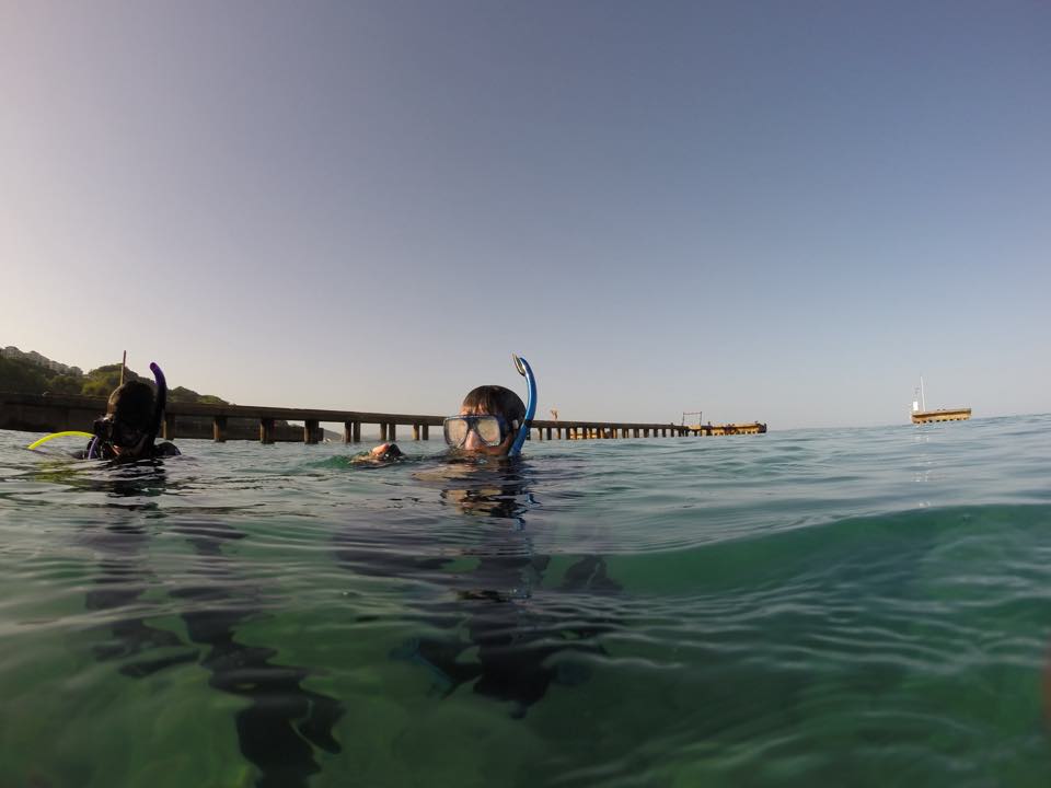A diver at the surface near the shore