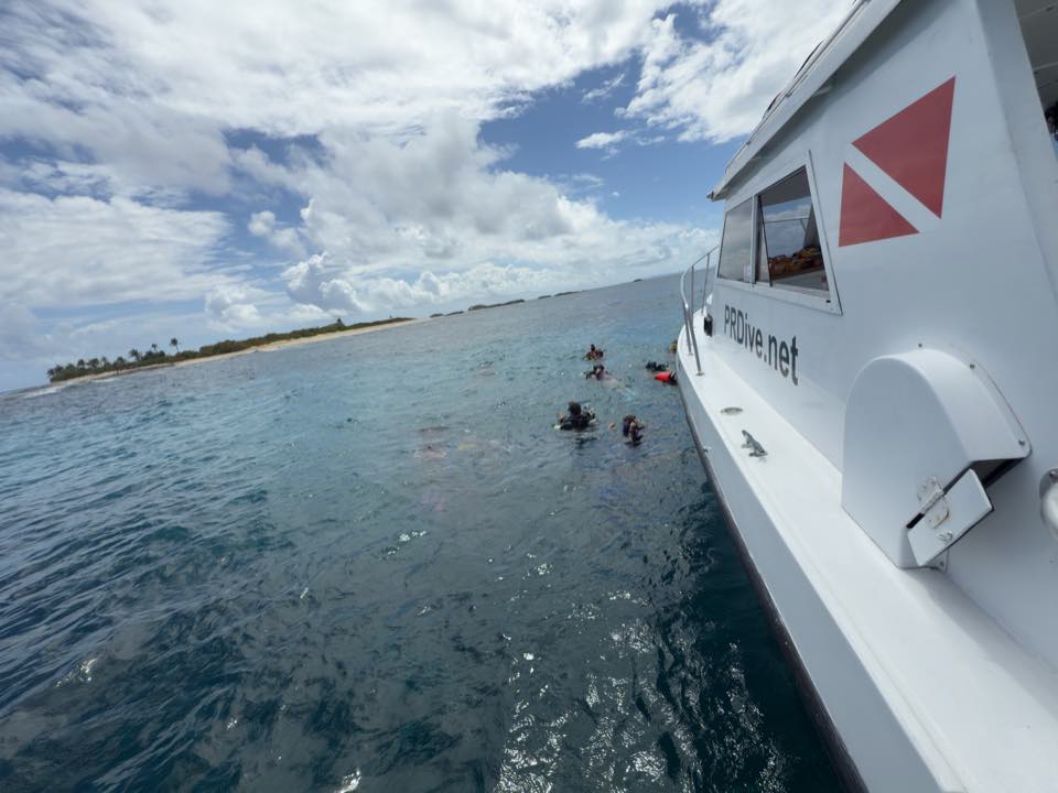 Divers in the water beside the PR Dive boat
