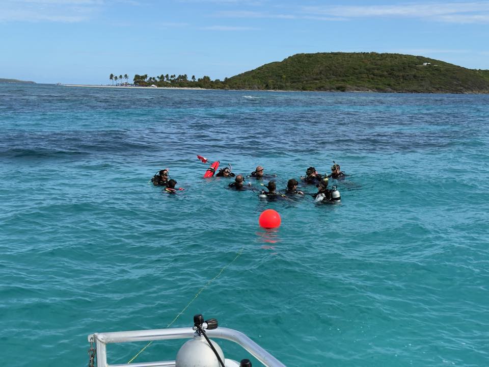 A group of divers at the surface near a small island