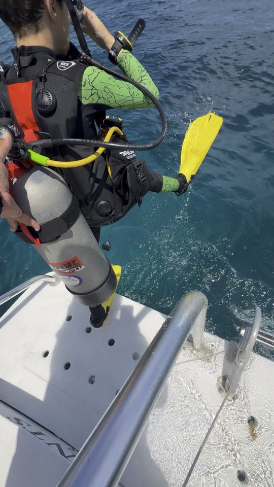 A diver doing a giant-stride entry off the back of the boat