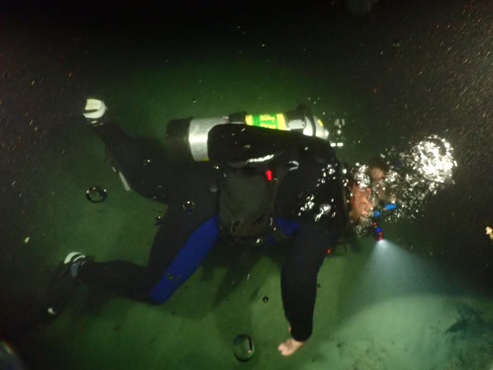 A diver with a light on a night dive