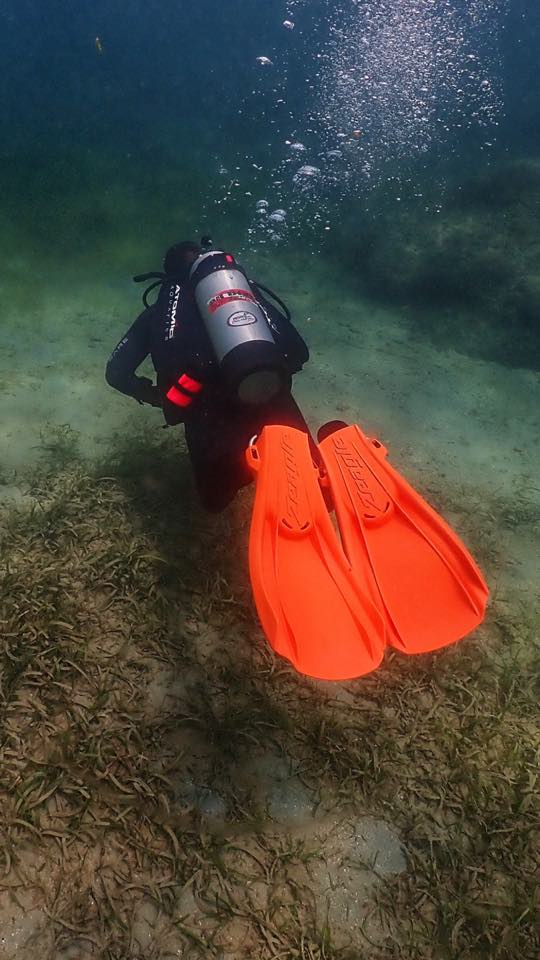 Orange fins on a diver over seagrass