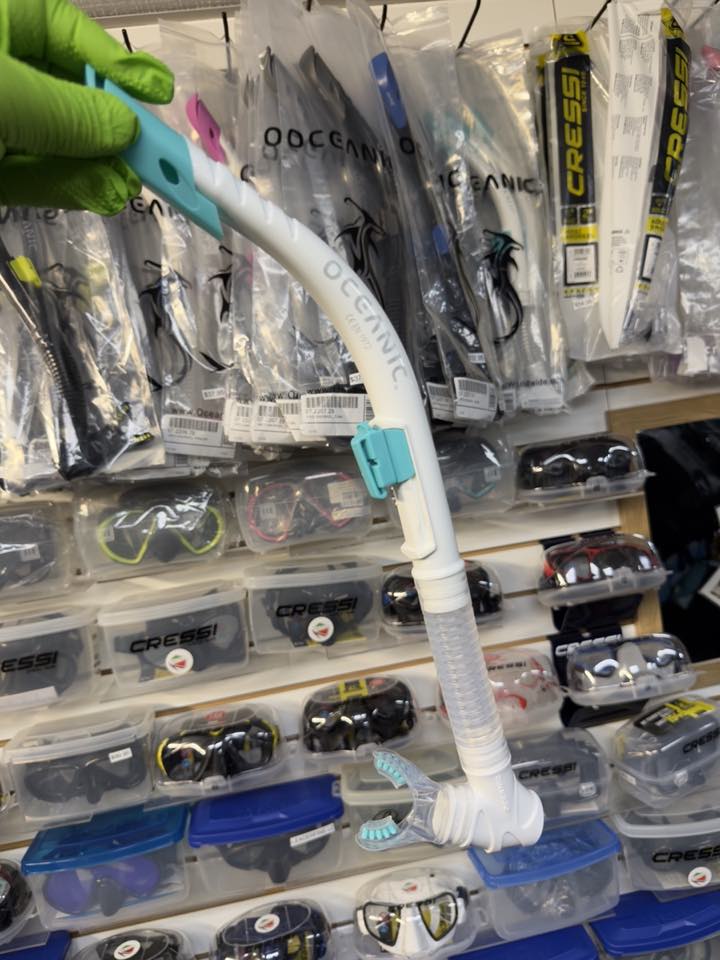 Un snorkel frente a la pared de caretas en PR Dive