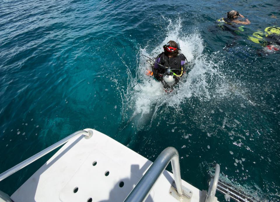 Un buzo entra al agua con un paso de gigante desde la parte de atrás del bote