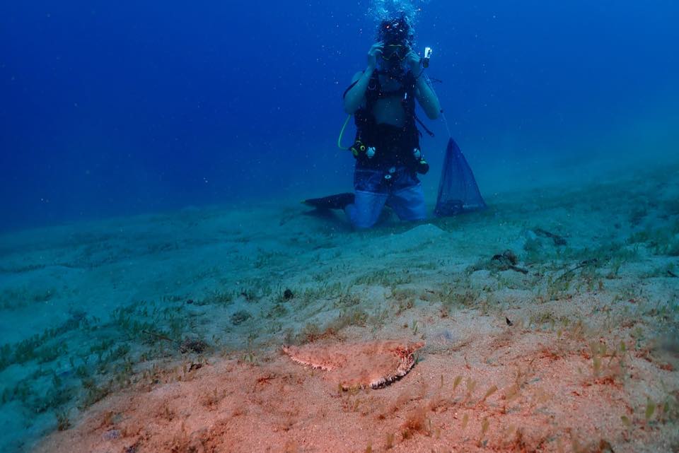 A student practising a scuba skill in clear water